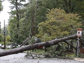 A large tree rests on power lines after heavy winds and rain from tropical storm Irma hit Athens, Ga., Tuesday, Sept. 12, 2017. (Joshua L. Jones/Athens Banner-Herald via AP)