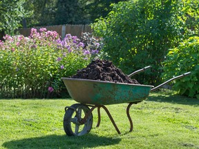 There are many kinds of mulch...