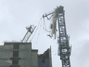 The crane collapsed in a bayfront area filled with hotels and high-rise condo and office buildings, near AmericanAirlines Arena, according to a tweet from the City of Miami