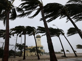 Palm trees blow in the wind near the Haulover Park Ocean Rescue Lifeguard Station at as Hurricane Irma passes by, Sunday, Sept. 10, 2017, in North Miami Beach, Fla.