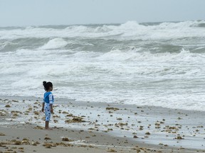 A young girl stands alone in front of heavy waves as winds strengten in anticipation for Hurricane Irma Saturday, September 9, 2017 in Hollywood, Fla.