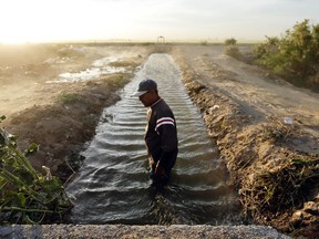 FILE - In this March 26, 2014 file photo, Abelardo Martinez stands in a blocked duct which leads water to his fields near Colonia Coahuila, Mexico, through a maze of canals stemming off the Colorado River. The U.S. and Mexico have agreed to expand a far-reaching conservation agreement that governs how they manage the overused Colorado River, which supplies water to millions of people and farms in both nations. Officials of U.S. water districts say the agreement to be signed Wednesday, Sept. 27, 2017 calls for the United States to invest $31.5 million to improve Mexico's water infrastructure, with the resulting water savings to be shared by users in both nations and by environmental projects. (AP Photo/Gregory Bull, File)