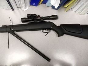 This Sept. 3, 2017 photo provided by the Tiburon, Calif., Police Department shows a pellet gun that Tiburon police say a Northern California man used to kill a doe and its fawn that were eating his decorative plants on his bayside property Saturday morning, Sept. 2, 2017. The Marin County district attorney says he has not decided whether to charge Mark Dickinson with cruelty to animal or other charges. (Tiburon Police Department via AP)