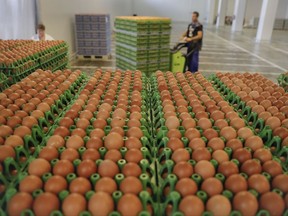 FILE- In this  Friday, Aug. 11, 2017 file photo, a man transports eggs at a processing plant in Gaesti, southern Romania. A European Union official said Tuesday, Sept. 5, 2017,  40 countries now have been affected by a Europe-wide contaminated egg scandal, including 24 EU members and 16 non-members. (AP Photo/Vadim Ghirda, File)