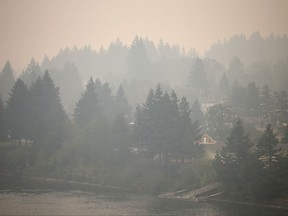 Cascade Locks, Ore., nestled in tall fir trees alongside the Columbia River, is inundated by smoke from the nearby Eagle Creek wildfire Wednesday, Sept. 6, 2017.  The growing blaze east of Portland in the scenic Columbia River Gorge was one of dozens of wildfires in the U.S. West that sent smoke into cities from Seattle to Denver.  (AP Photo/Randy L. Rasmussen)