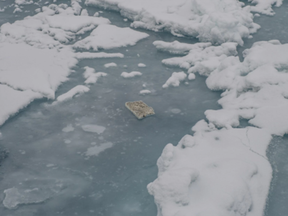 Researchers found plastic blocks like this one floating in the Arctic Ocean