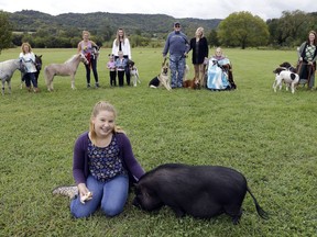 Emma Troxell, 13, sits with Tank, a 2-year-old pot bellied pig, as family members pose at the acreage where their animals are being kept Tuesday, Sept. 12, 2017, in Bradyville, Tenn. Stephanie Clegg Troxell, top right, and her family evacuated New Port Richey, Fla., before Hurricane Irma hit. The family caravan includes three cars and a trailer, five adults, five children, 13 dogs, three mini-horses and a pet pig. The trek from New Port Richey, Florida, north of Tampa Bay, took more than 17 hours, beginning last Wednesday. (AP Photo/Mark Humphrey)