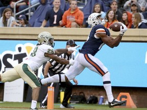Virginia's Andre Levrone, right, pulls in a touchdown pass against William and Mary's Raeshawn Smith, left, in the second quarter  of an NCAA college football game  in Charlottesville on Saturday, Sept.  2, 2017. (Daniel Sangjib Min/Richmond Times-Dispatch via AP)