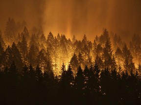 FILE - In this Sept. 5, 2017, file photo, the Eagle Creek wildfire burns on the Oregon side of the Columbia River Gorge near Cascade Locks, Ore. Wildfires that have blackened more than thousands of square miles across the American West have also ignited calls, including from Interior Secretary Ryan Zinke, for thinning of forests that have become so choked with trees that they're at "powder keg levels." (Genna Martin /seattlepi.com via AP, File)