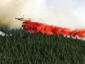 FILE - In this Aug. 21, 2016, file photo, a plane drops a load of fire retardant on the north side of Beacon Hill, in Spokane, Wash. The U.S. Forest Service and Idaho have forged agreements leading to more logging on federal land in what officials say could become a template for other Western states and reduce the severity of wildfires. (Colin Mulvany/The Spokesman-Review, via AP, File)