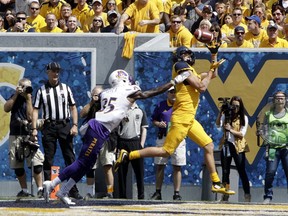 West Virginia wide receiver David Sills V (13) makes a touchdown catch while being defended by East Carolina defensive back Chris Love (35) during the first half of an NCAA college football game, Saturday, Sept. 9, 2017, in Morgantown, W.Va. West Virginia defeated East Carolina 56-20. (AP Photo/Raymond Thompson)