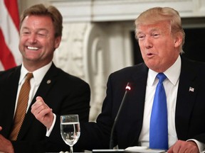 FILE - In this July 19, 2017, file photo, President Donald Trump gestures towards Sen. Dean Heller, R-Nev. while speaking during a luncheon GOP leadership in the State Dinning Room of the White House in Washington. On immigration, there were few easy answers for the Republican Party's most vulnerable members. And President Donald Trump just made things harder. Heller, considered one of the nation's most vulnerable Republicans, broke from Trump this week on the program known as Deferred Action for Childhood Arrivals, or DACA. (AP Photo/Pablo Martinez Monsivais, File)