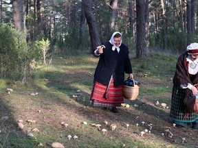 In this grab taken from video, women dressed in Lithuanian national clothes gather mushrooms at the foraging festival, some 60 kilometers (nearly 40 miles) south of the capital of Vilnius, Lithuania, Saturday, Sept. 23, 2017. Thousands of Lithuanians have been running around with baskets and buckets in a pine forest in southeastern Lithuania for the national championship of wild mushroom picking. (Mindaugas Kulbis via AP)