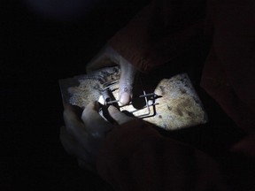 In this photo taken Friday, Sept 22, 2017, a mouse trap is set in the dark in a cornfield in Chidza, Masvingo Province, Zimbabwe. The trapped mice are then roasted and sold as a delicacy to motorists on the road to neighbouring South Africa. (AP Photo/Tsvangirayi Mukwazhi)