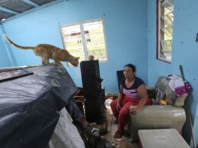 In this Tuesday, Sept. 26, 2017 photo, Maribel Valentin Espino sits in her hurricane-destroyed home in Montebello, Puerto Rico. Espino and her husband say they have not seen anyone from the Puerto Rican government, much less the Federal Emergency Management Agency, since the storm tore up the island. (AP Photo/Gerald Herbert)