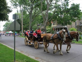 A horse and buggy makes its way through historic Woodfield in London, Ont.