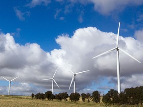 A wind farm in Australia, part of TransGrid's network.