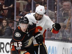 Anaheim Ducks defenseman Josh Manson vies for the puck with Calgary Flames left wing Tanner Glass during the first period of an NHL hockey game in Anaheim, Calif., Monday, Oct. 9, 2017. (AP Photo/Chris Carlson)
