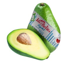 Avocado Light