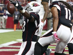 Arizona Cardinals running back Adrian Peterson, left, celebrates his touchdown run as wide receiver Larry Fitzgerald (11) and Tampa Bay Buccaneers strong safety Justin Evans, center, look on during the first quarter of an NFL football game Sunday, Oct. 15, 2017, in Glendale, Ariz. (AP Photo/Ralph Freso)