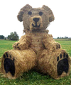 Farmer Blake Jennings, who has fashioned a bear out of hay every fall for 14 years, said he awoke Tuesday to discover this yearâs sculpture had been burned overnight.