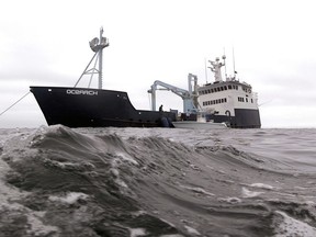 FILE - In this Sept. 7, 2012 file photo, the research vessel Ocearch has set her anchor as the crew begins their search for great white sharks on the Atlantic Ocean, spending two to three weeks tagging sharks and collecting blood and tissue samples off the coast of Chatham, Mass. After tagging the sharks real-time satellite tracks the shark each time its dorsal fin breaks the surface, plotting its location on a map. Researchers in Massachusetts say great white sharks in the Atlantic Ocean are venturing offshore farther, with more frequency and at greater depths than previously known. The findings were published Sept. 29, 2017, in the scientific journal Marine Ecology Progress Series. (AP Photo/Stephan Savoia, File)