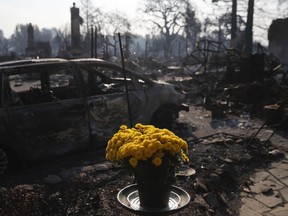 Fresh flowers are placed, Sunday, Oct. 15, 2017, in the Coffey Park neighborhood in Santa Rosa, Calif., that was devastated by a wildfire. A state fire spokesman says it appears firefighters are making good progress on deadly wildfires that started a week earlier, devastating wine country and other parts of rural Northern California. (AP Photo/Jae C. Hong)
