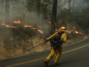 Firefighter David Allhiser carries a water hose to put out a fire Thursday, Oct. 12, 2017, near Calistoga, Calif. Officials say progress is being made in some of the largest wildfires burning in Northern California but that the death toll is almost sure to surge. (AP Photo/Jae C. Hong)