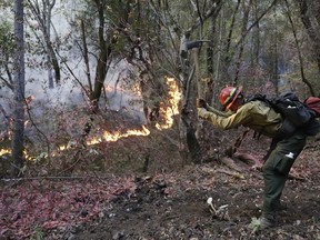 A firefighter cuts fuel from an advancing wildfire Saturday, Oct. 14, 2017, in Santa Rosa, Calif. (AP Photo/Marcio Jose Sanchez)