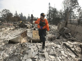 J. Petrocelli of the Alameda County Sheriff's Office Search and Rescue walks through the burned out remains of a home while searching the Coffey Park area Tuesday, Oct. 17, 2017, in Santa Rosa, Calif. A massive wildfire swept through the area last week destroying thousands of housing and business and taking the lives of more than two dozen people.(AP Photo/Rich Pedroncelli)