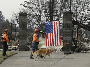 Capt. Fran Roelfsema, of the Alameda County Sheriff's Office Search and Rescue team and her search dog, Tioga, inspect a burned out home with team member Leah Waarvik, left, while searching the Coffey Park area, Tuesday, Oct. 17, 2017, in Santa Rosa, Calif. A massive wildfire swept through the area last week destroying thousands of housing and business and taking the lives of more than two dozen people. (AP Photo/Rich Pedroncelli)