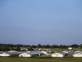 This Aug. 8, 2017 photo shows Simmons chicken farm along Highway 43 in Southwest City, Mo. Judges across the country are ordering defendants into recovery centers that are little more than work camps for private industry, an investigation by Reveal from The Center for Investigative Reporting has found. Chicken plants are notoriously dangerous, and men in the CAAIR program said injuries were common at Simmons. (Shane Bevel/Reveal via AP)