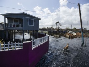 Flood water surrounds homes in the Juana Matos community one week after the passing of Hurricane Maria in Catano, Puerto Rico, Thursday, Sept. 28, 2017. The aftermath of the powerful storm has resulted in a near-total shutdown of the U.S. territory's economy that could last for weeks and has many people running seriously low on cash and worrying that it will become even harder to survive on this storm-ravaged island. (AP Photo/Carlos Giusti)
