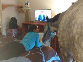 Lindsey Partridge and her horse Blizz are shown in a Super 8 hotel room in Georgetown, Ky. in a handout photo. A Canadian horse has had the opportunity to watch television for the first time at a pet-friendly Kentucky motel.THE CANADIAN PRESS/HO-Lindsey Partridge MANDATORY CREDIT