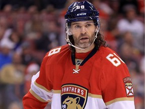 Jaromir Jagr of the Florida Panthers #68 of the Florida Panthers looks on during a game against the Detroit Red Wings at BB&T Center on December 23, 2016 in Sunrise, Florida.