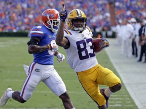 LSU wide receiver Russell Gage (83) raises his hand as he crosses the goal line in front of Florida defensive back Nick Washington for a touchdown on a 30-yard run during the first half of an NCAA college football game, Saturday, Oct. 7, 2017, in Gainesville, Fla. (AP Photo/John Raoux)