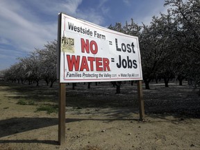 FILE - In this Feb. 25, 2016, file photo, a sign calling attention to the loss of jobs blamed on the lack of water is displayed near Lemoore, Calif. The powerful Metropolitan Water District voted Tuesday, Oct. 10, 2017 to pay its share of the $16 billion project to build two massive tunnels to pipe water from Northern California to Southern California cities. The vote gives Gov. Jerry Brown's ambitious project an important boost of support after an influential agricultural group withdrew its support last month. The tunnels, which have been discussed in one form or another for generations, would pipe water around the Sacramento-San Joaquin Delta -- where Sierra Nevada water flows toward the sea -- to a system of canals that deliver water to farms and residents mostly in the southern half of the state. (AP Photo/Rich Pedroncelli, File)