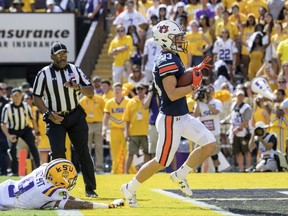 LSU safety Grant Delpit (9) can't stop Auburn wide receiver Will Hastings (33) from scoring a touchdown in the first half of an NCAA college football game in Baton Rouge, La., Saturday, Oct. 14, 2017. (AP Photo/Matthew Hinton)