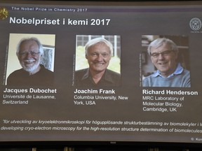 A screen reveals the images of Jacques Dubochet - from the University of Lausanne, Switzerland, Joachim Frank from Columbia University, USA and Richard Henderson, from the MRC Laboratory of Molecular Biology, Cambridge, in England, who have been awarded the 2017 Nobel Prize in Chemistry, during a press conference, at the Royal Academy of Sciences in Stockholm, Wednesday, Oct. 4, 2017.  The Nobel Prize for Chemistry rewards researchers for major advances in studying the infinitesimal bits of material that are the building blocks of life. (Claudio Bresciani/TT News Agency via AP)