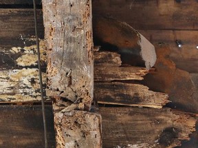 In this Wednesday, Sept. 27, 2017, photo, old wood is exposed in a wall inside the 17th-century homestead where Sarah Clayes lived in Framingham, Mass., after leaving Salem following the 1692 witch trials. After years-long efforts to figure out who owned the home, which had fallen into disrepair after decades of neglect, and to raise enough money to fix it, renovations are expected to be completed by the spring of 2018. (AP Photo/Bill Sikes)