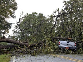 A tree rests on a truck after being blown over by storms in Polkville, N.C., Monday, Oct. 23, 2017. The driver, WIlliam Mark Fox, was on his way home to Polkville when the storm hit. Fox left the scene with no injuries, but was taken to the hospital as a precaution. (Brittany Randolph/The Star via AP)