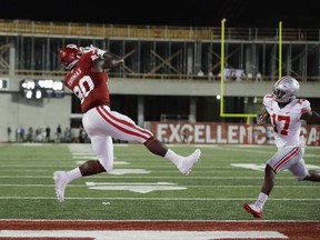 FILE - In this Aug. 31, 2017, file photo, Indiana tight end Ian Thomas (80) make a 2-yard touchdown reception against Ohio State's Jerome Baker during the second half of an NCAA college football game, in Bloomington, Ind. Tight ends are back in vogue in the Big Ten. There has been a noticeable rise in the use of players at the end of the line as receivers in 2017. (AP Photo/Darron Cummings, File)