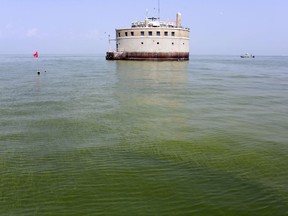 FILE – In this Aug. 3, 2014, file photo, the water intake crib for the city of Toledo, Ohio, is surrounded by an algae bloom on Lake Erie, about 2.5 miles off the shore of Curtice, Ohio. Advocacy groups suing the U.S. Environmental Protection Agency over toxic algae in Lake Erie, threatening drinking water in Ohio and Michigan, say the agency's response in court documents filed in October 2017 bolsters their argument that not enough is being done to protect the lake. (AP Photo/Haraz N. Ghanbari, File)