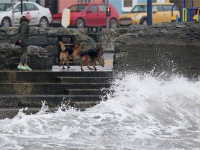 A woman walks her dogs beside the stormy sea in the coastal village of Donaghadee on the Irish Sea coast, east of Belfast in Northern Ireland, on Oct. 16, 2017 as Northern Ireland braces for the passing of the storm Ophelia.