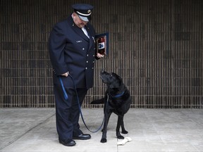 Philadelphia Fire Department arson dog Chance looks up at his handler Lt. George Werez during a ceremony marking the retirement of the dog in Philadelphia, Thursday, Oct. 26, 2017. The nearly 9-year-old canine was a member of the Arson and Explosives Task Force and has responded to about 900 fire scenes in his career. (AP Photo/Matt Rourke)