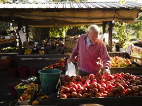 Steve Decker shops for produce at Maple Acres Farm in Plymouth Meeting, Pa.,Tuesday, Oct. 17, 2017. (AP Photo/Matt Rourke)