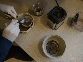 A woman grinds dehydrated human placenta.