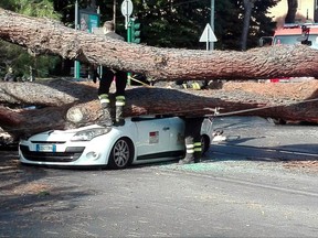 Firefighters work on the removal of a tree which collapsed on a taxi in a central neighborhood of Rome, Monday, Oct. 23, 2017. According to reports, the taxi driver was injured while the two women sitting in the cab were unharmed. (Matteo Guidelli/ANSA via AP)
