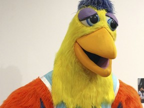 In this Tuesday, Oct. 24, 2017 photo, the costume of the San Diego Chicken is displayed at the The Ballard Institute and Museum of Puppetry, at the University of Connecticut in Storrs, Conn. It is part of the exhibit "Mascots! Mask Performance in the 21st Century," of sports and commercial mascots opened this week and runs through Feb. 11, 2018. (AP Photo/Pat Eaton-Robb)