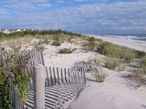 This Oct. 26, 2017 photo shows a large sand dune at the Midway Beach section of Berkeley Township, N.J. Homeowners there are fighting a plan by New Jersey and the US Army Corps of Engineers to take part of the land for a protective sand dune project, arguing that what is already there is larger than what the government project would build. (AP Photo/Wayne Parry)